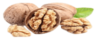 walnuts with shell