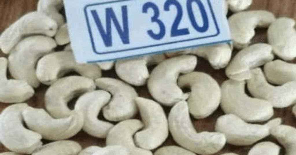 Benefits of Cashew W320